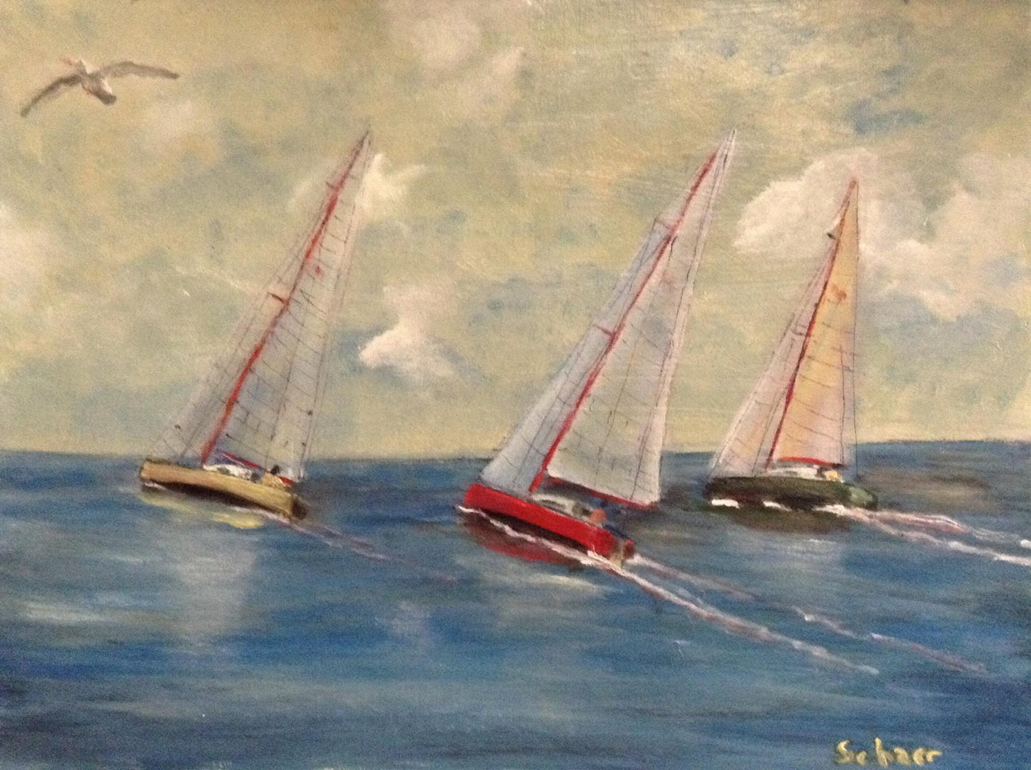 Sail: Taza esmaltada(10) - Ranch